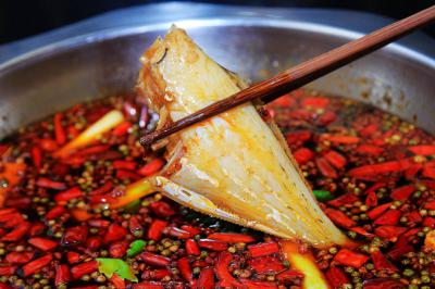 成都郫縣有沒(méi)有專業(yè)培訓(xùn)耗兒魚(yú)培訓(xùn)學(xué)校？