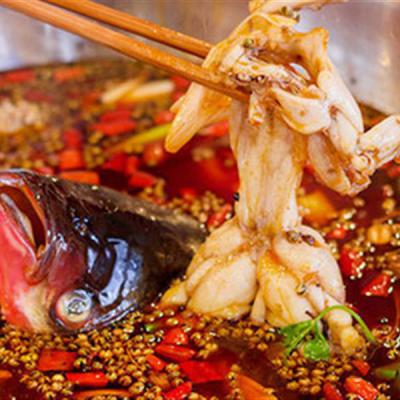 重慶美蛙魚頭火鍋技術(shù)培訓(xùn)多少錢？